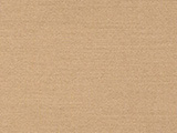Sunbrella Play Camel (40616-0003)